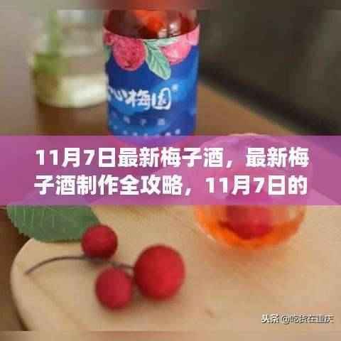 11月7日最新梅子酒制作指南,从初学者到进阶用户的全攻略
