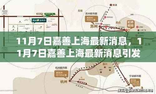 11月7日嘉善上海最新消息引发热议，发展动向深度解析