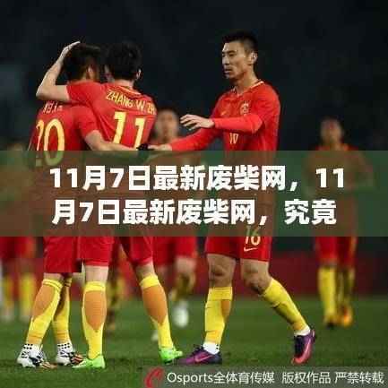 揭秘,11月7日最新废柴网真面目!