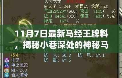 揭秘神秘马经王牌小店,美食冒险的不期而遇之旅(11月7日最新资讯)