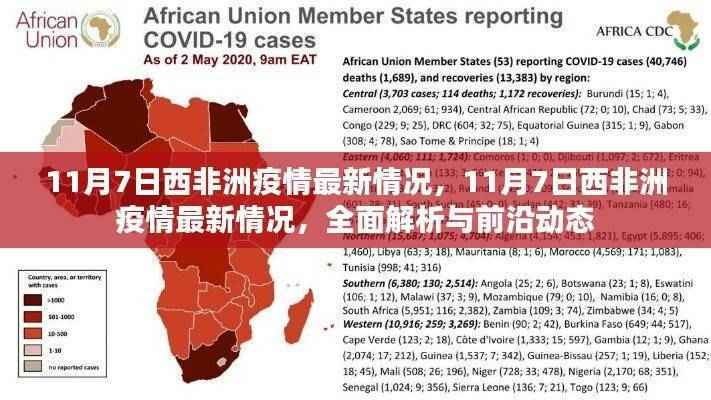 西非洲疫情最新动态，全面解析与前沿资讯（11月7日）