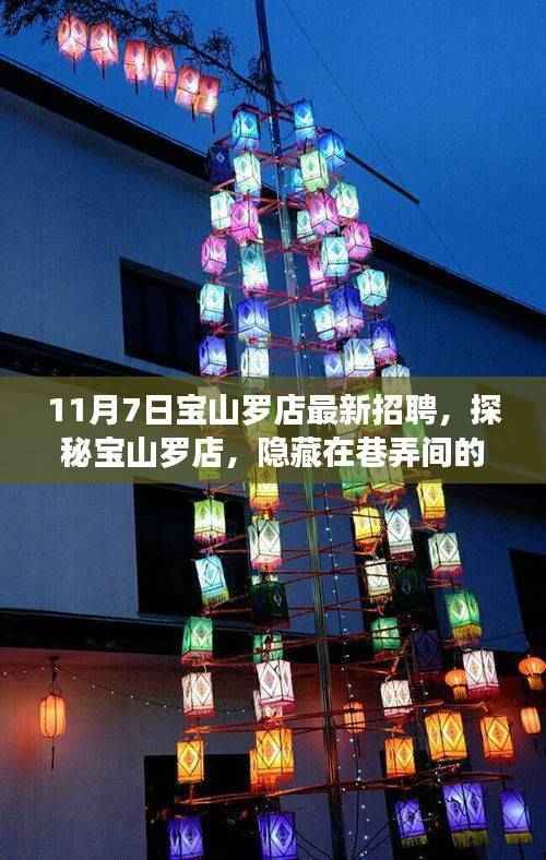 揭秘宝山罗店职场宝藏，最新招聘火热进行中！