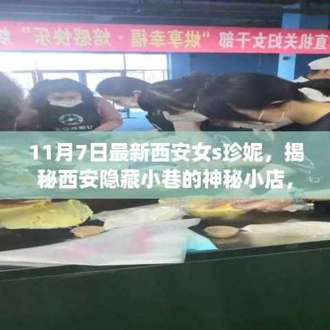 商品分类 第607页