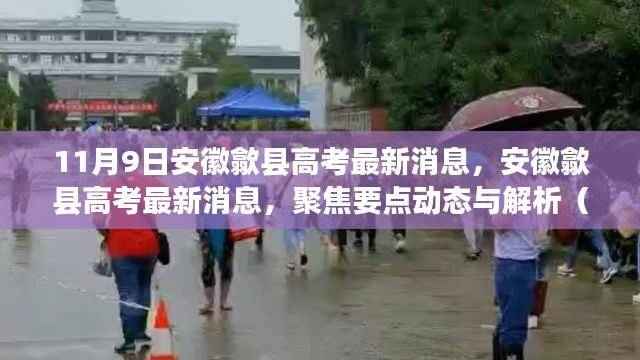 安徽歙县高考最新消息聚焦(11月9日版)解析与动态