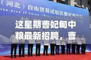 曹妃甸中粮最新招聘启事,学习变革,拥抱机遇,共创未来无限可能