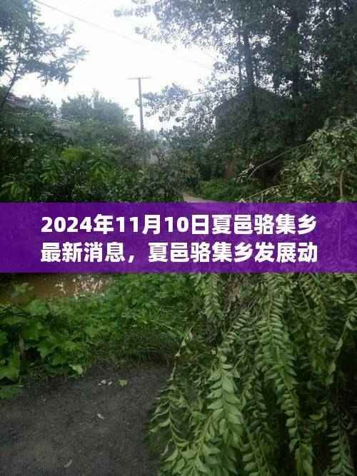 XXXX年夏邑骆集乡最新发展动态深度解读与观点探讨,以未来视角看夏邑骆集乡的蜕变之路