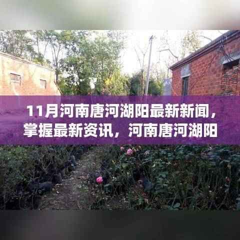 河南唐河湖阳地区最新资讯,掌握11月新闻获取攻略