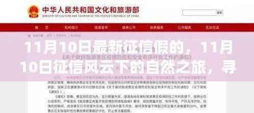 征信风云下的心灵之旅,探寻美景奇迹与内心宁静