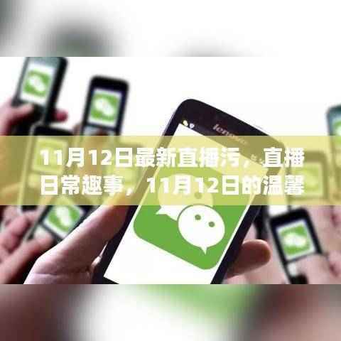 11月12日直播日常趣事,温馨陪伴时刻的私密分享