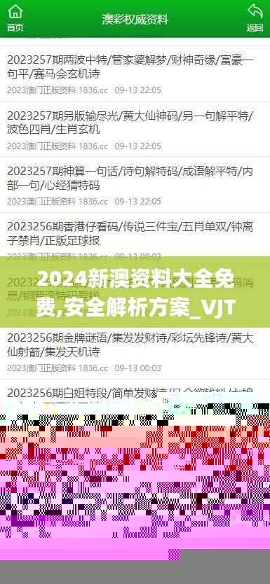 2024新澳资料大全免费,安全解析方案_VJT613.81归虚