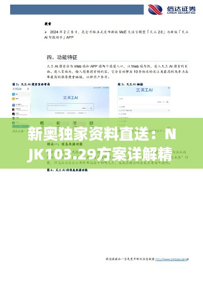 新奥独家资料直送:NJK103.29方案详解精选版