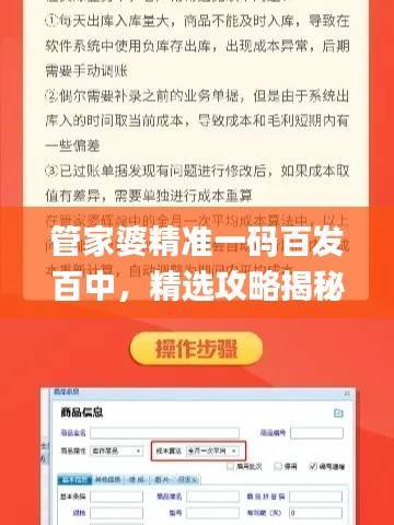 管家婆精准一码百发百中,精选攻略揭秘_动漫风LZS602.02