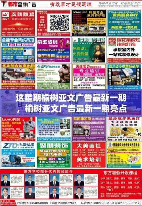 榆树亚文广告最新一期亮点解析揭秘