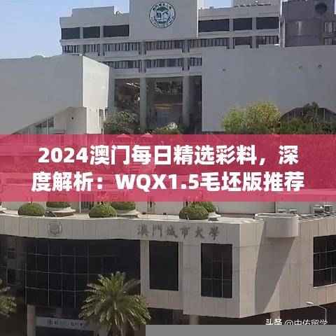 2024澳门每日精选彩料,深度解析:WQX1.5毛坯版推荐