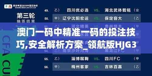 澳门一码中精准一码的投注技巧,安全解析方案_领航版HJG314.73