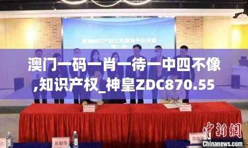澳门一码一肖一待一中四不像,知识产权_神皇ZDC870.55