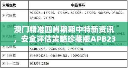 澳门精准四肖期期中特新资讯，安全评估策略珍藏版APB239.36