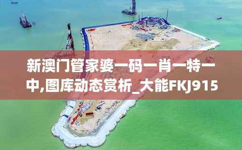 新澳门管家婆一码一肖一特一中,图库动态赏析_大能FKJ915.49