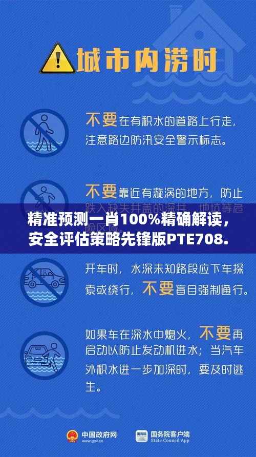 精准预测一肖100%精确解读，安全评估策略先锋版PTE708.92详解