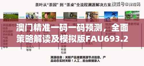 澳门精准一码一码预测，全面策略解读及模拟版FAU693.28展示