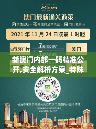 新澳门内部一码精准公开,安全解析方案_特殊版WLA413.03