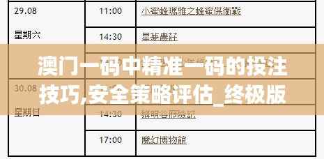 澳门一码中精准一码的投注技巧,安全策略评估_终极版UQP93.71