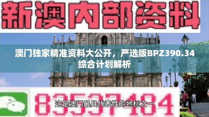 澳门独家精准资料大公开,严选版BPZ390.34综合计划解析