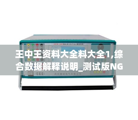 王中王资料大全料大全1,综合数据解释说明_测试版NGT70.22