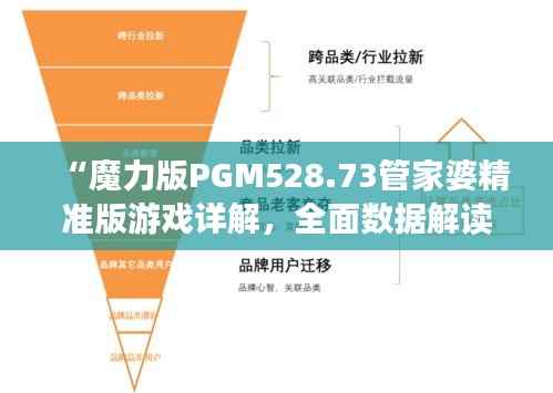 “魔力版PGM528.73管家婆精准版游戏详解，全面数据解读”