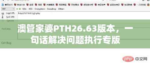 澳管家婆PTH26.63版本，一句话解决问题执行专版