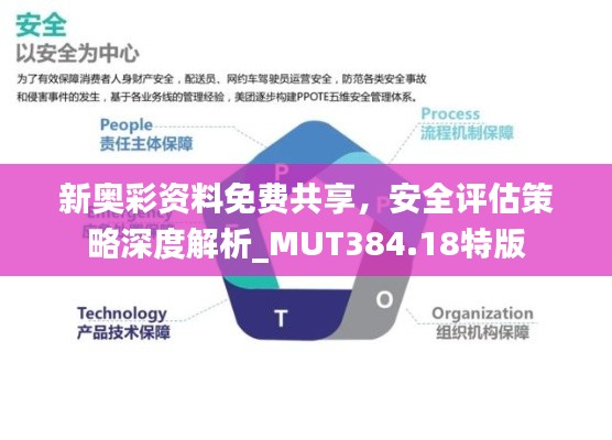 新奥彩资料免费共享,安全评估策略深度解析_MUT384.18特版
