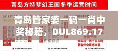 青岛管家婆一码一肖中奖秘籍，DUL869.17神器解析精选
