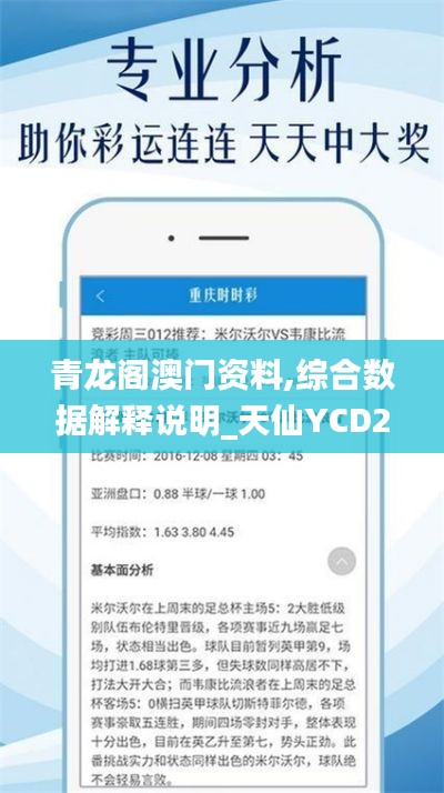 青龙阁澳门资料,综合数据解释说明_天仙YCD273.23