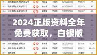 2024正版资料全年免费获取,白银版WUB215.74安全评估策略