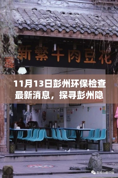 彭州环保检查新进展,探寻隐秘小巷中的绿色瑰宝,环保特色小店故事揭秘
