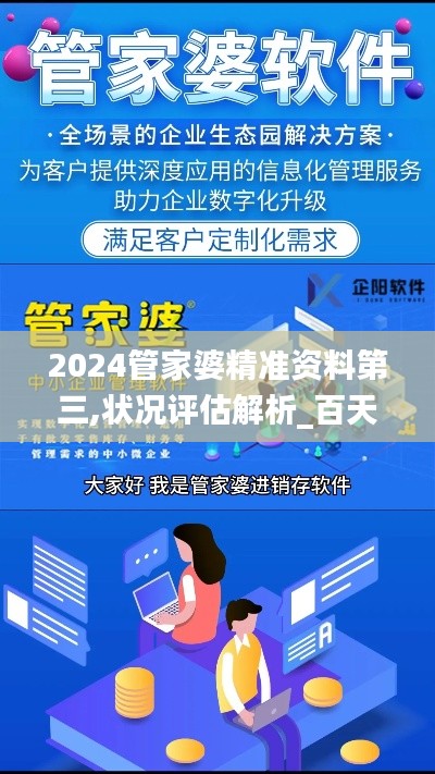 2024管家婆精准资料第三,状况评估解析_百天境BXV642.28