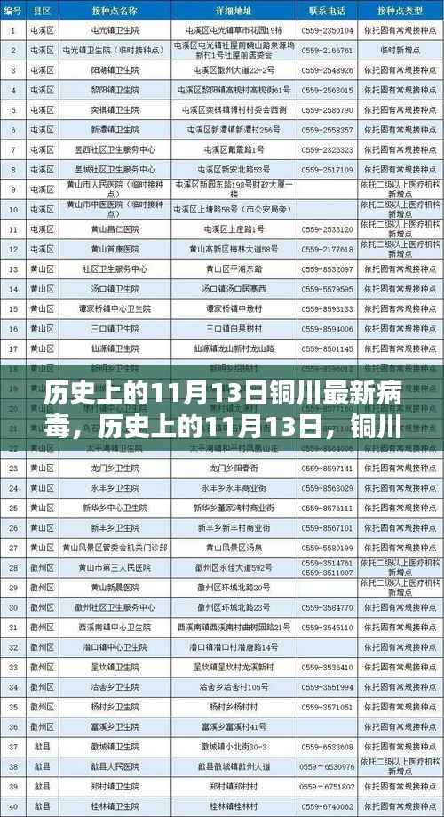 铜川历史上的病毒挑战,揭秘铜川遭遇最新病毒事件在11月13日