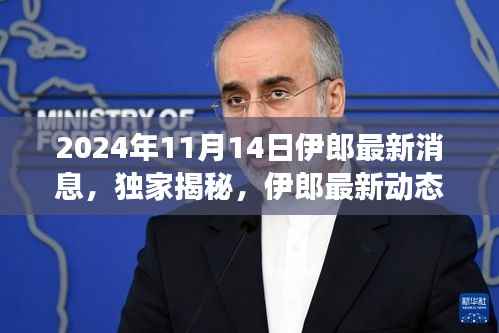 独家揭秘,伊郎最新动态深度解读——2024年11月14日最新消息速递