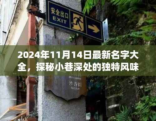 探秘小巷独特风味,揭秘2024年最新名字背后的故事与名字大全发布