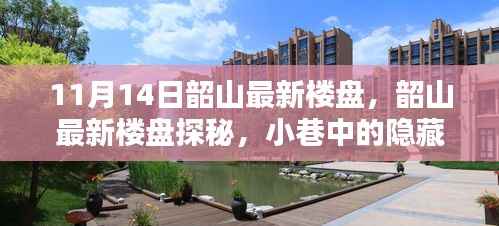 独家揭秘,韶山最新楼盘探秘——小巷中的隐藏瑰宝(11月14日最新)