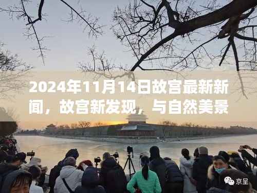 故宫新发现揭秘,与自然美景共舞的心灵之旅(2024年11月14日最新消息)