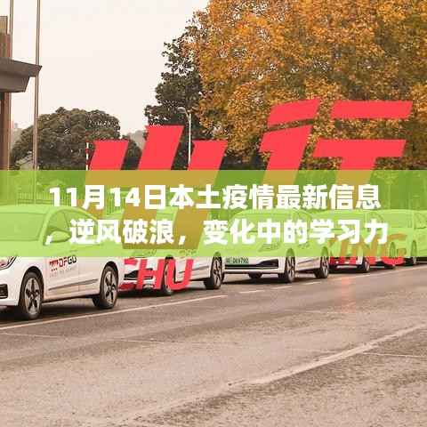 11月14日疫情下本土积极变化与自我成长,逆风破浪中的学习力量
