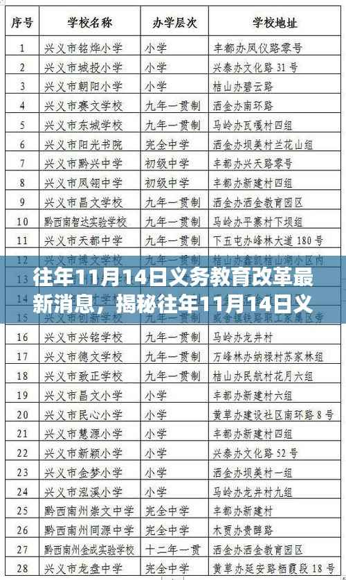 揭秘往年11月14日义务教育改革动态与小巷深处的特色小店传奇故事