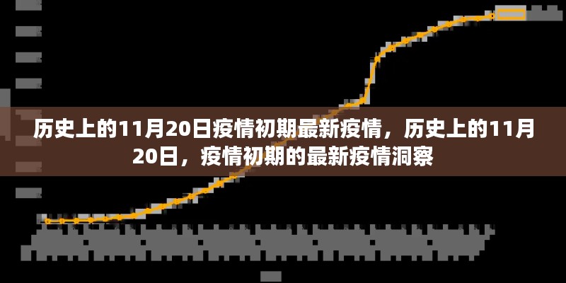 历史上的11月20日疫情初期洞察,最新疫情动态