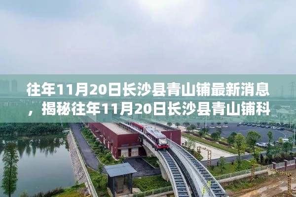 文质彬彬 第23页