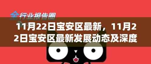 11月22日宝安区最新发展动态及深度解读