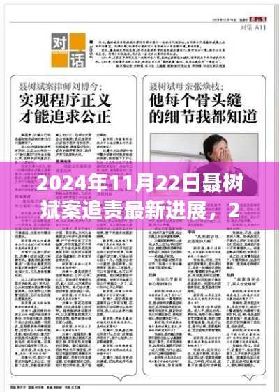 聂树斌案追责最新进展,正义的脚步与时代的回响(2024年11月22日)