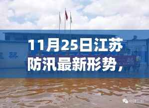 江苏防汛最新动态,水边的趣事与家的温暖,11月25日更新