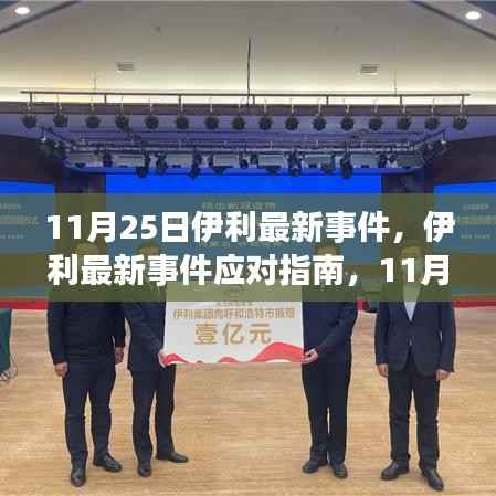 11月25日伊利事件应对指南,行动步骤详解