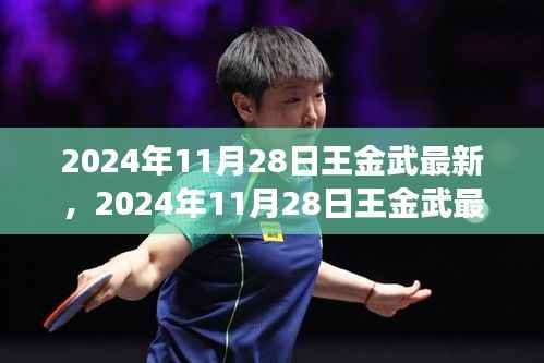 王金武最新动态揭秘,探索成功之路的新篇章,2024年11月28日